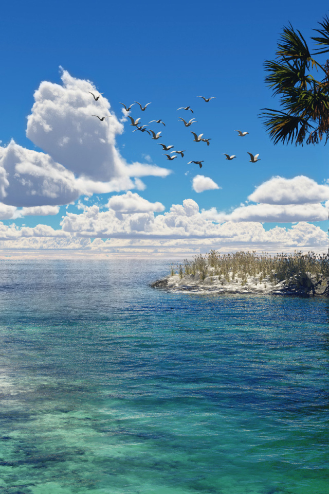 Чайки над морем