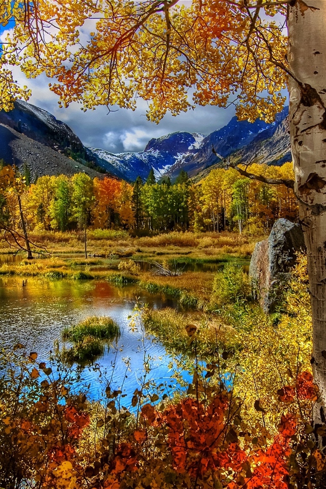 Amazing Autumn View