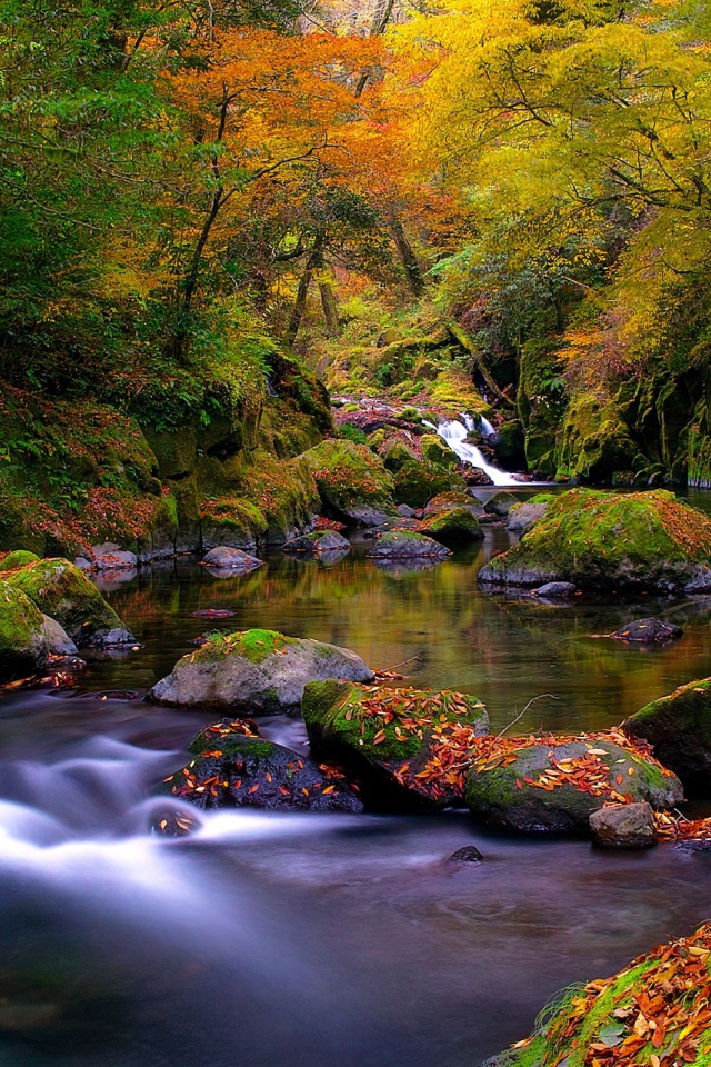 Осенняя река