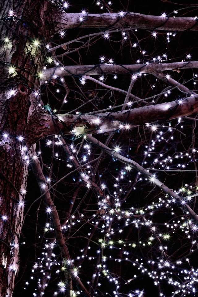Гирлянды на дереве