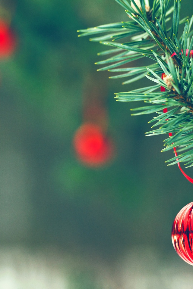 Красный шар на елке