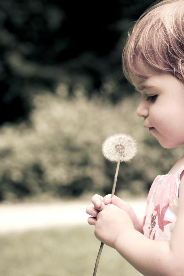 Ребенок и одуванчик