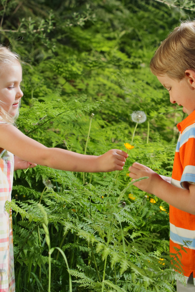 Детская романтика