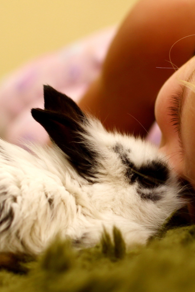 Девочка и кролик