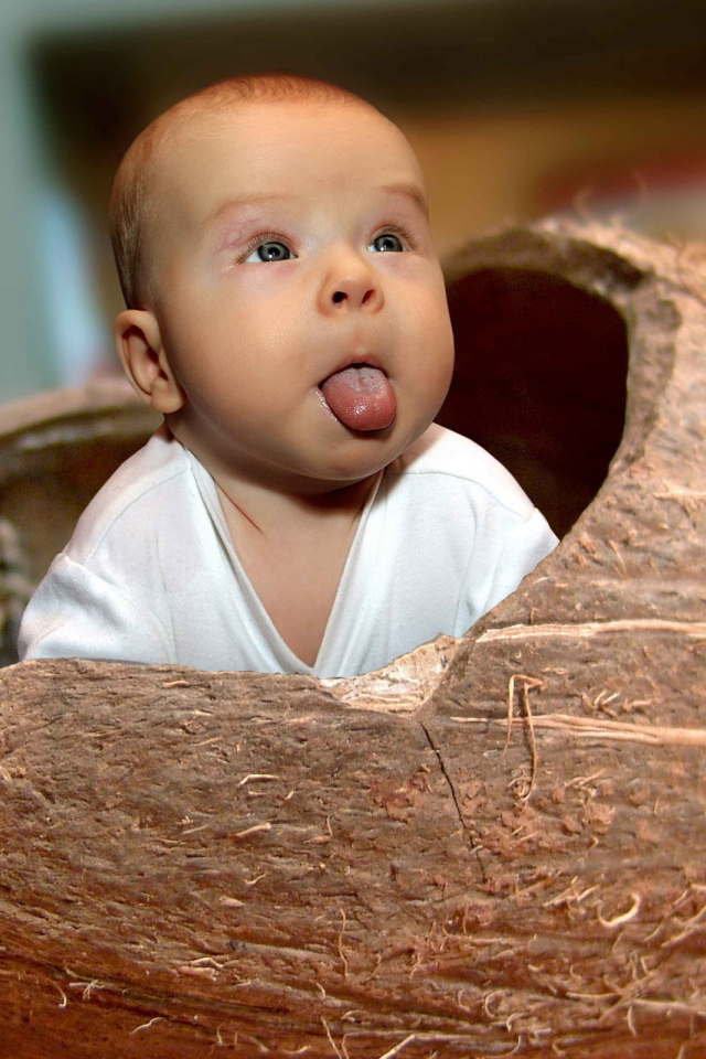 Малыш в кокосе