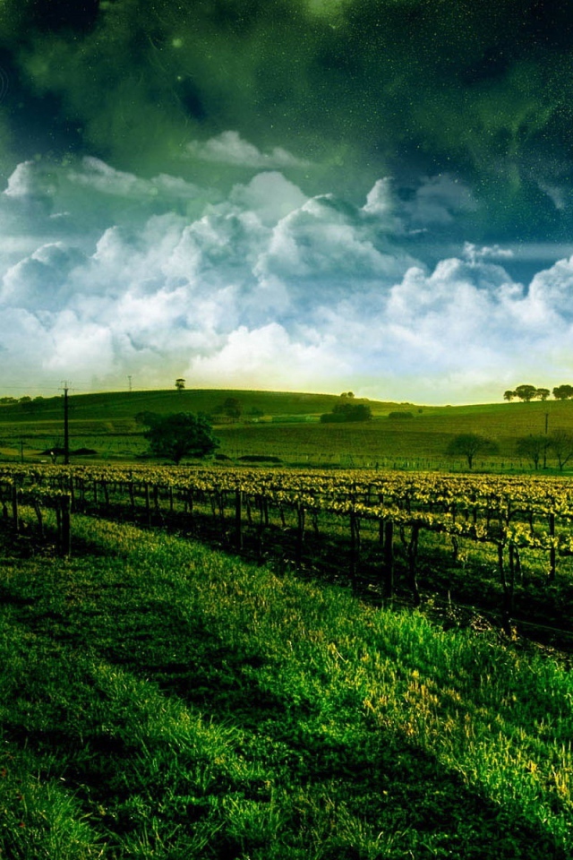 Осторожно шары