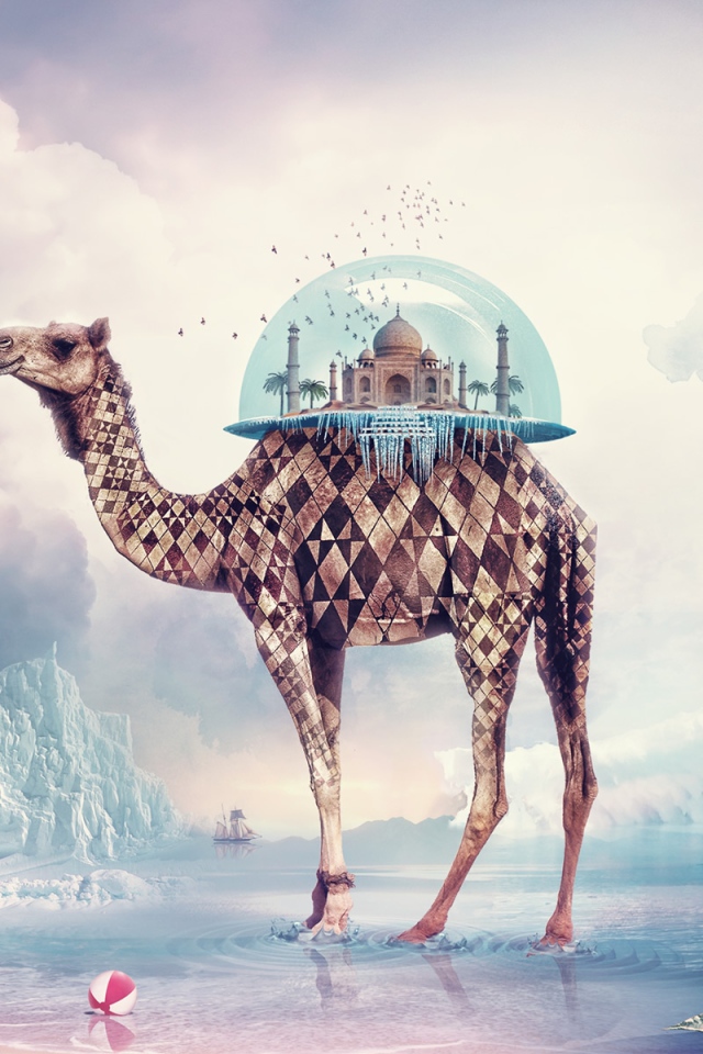 Необычный верблюд