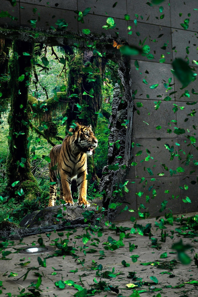 Тигр за стеной