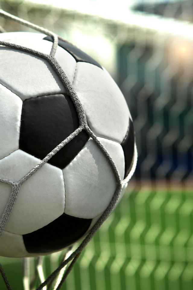 Футбольный мяч в сетке