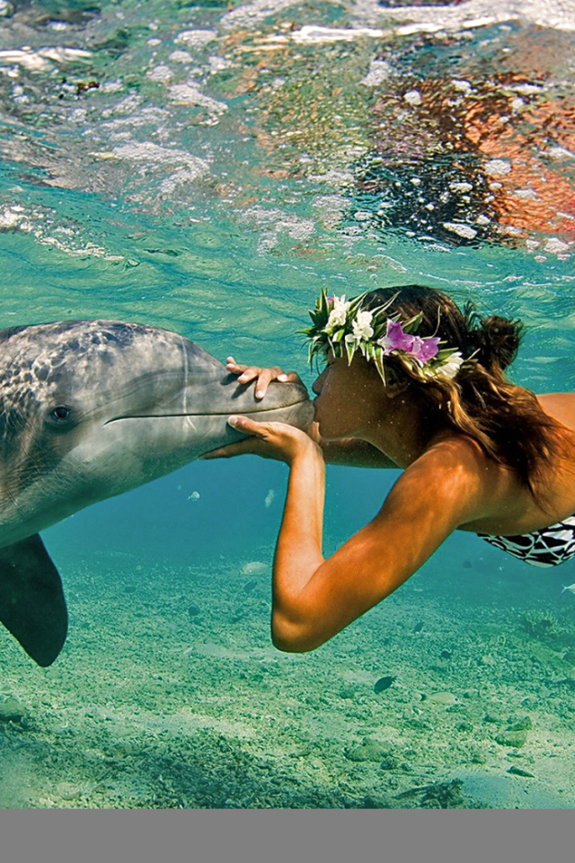 Поцелуй дельфина