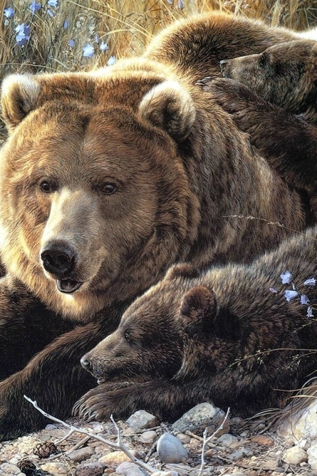 Семья медведей