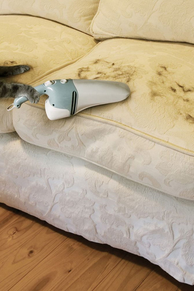 Кот пылесосит