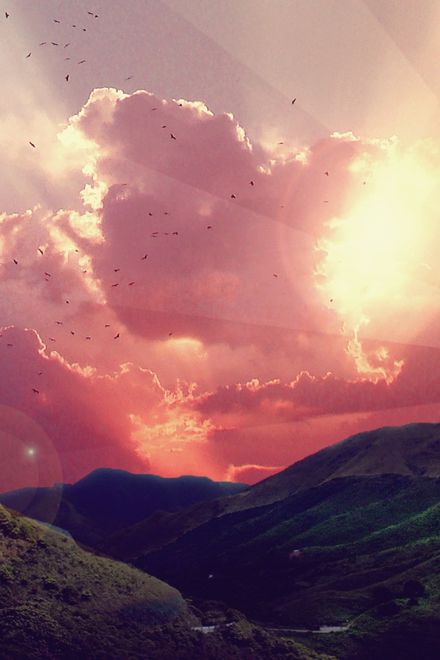 Прикольный недовольный кот