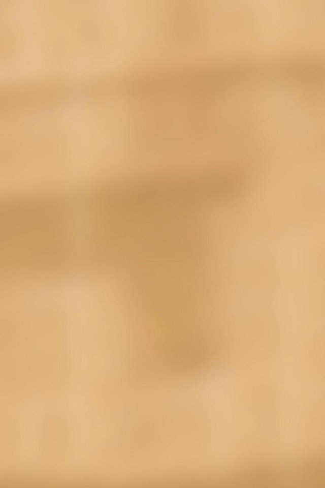 Серые коты подглядывают