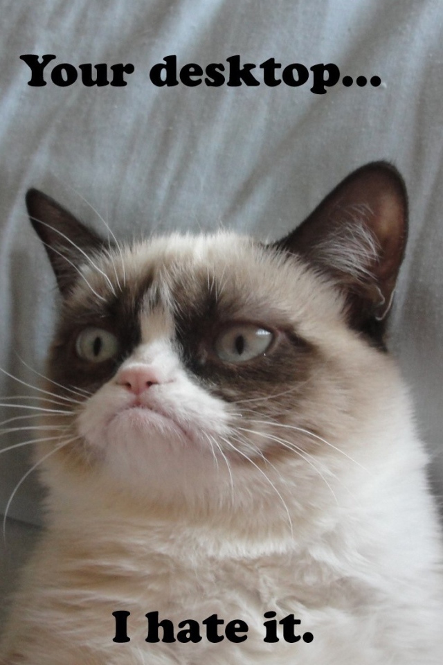 Недовольный кот на десктопе