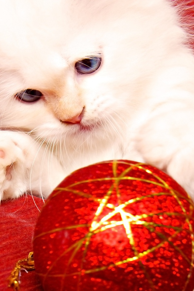 White cat Christmas tree toy