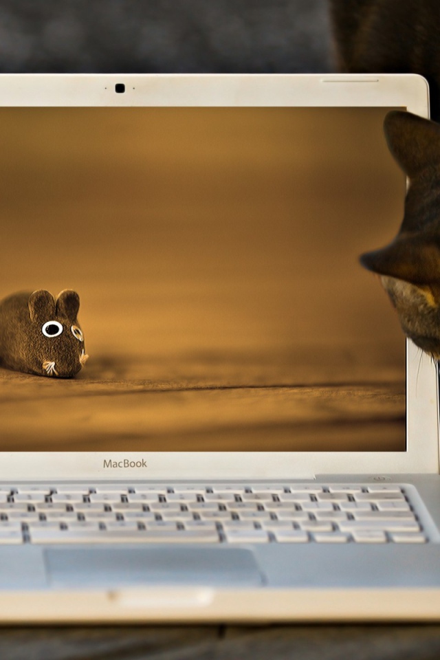 Кот и мышь на экране лэптопа