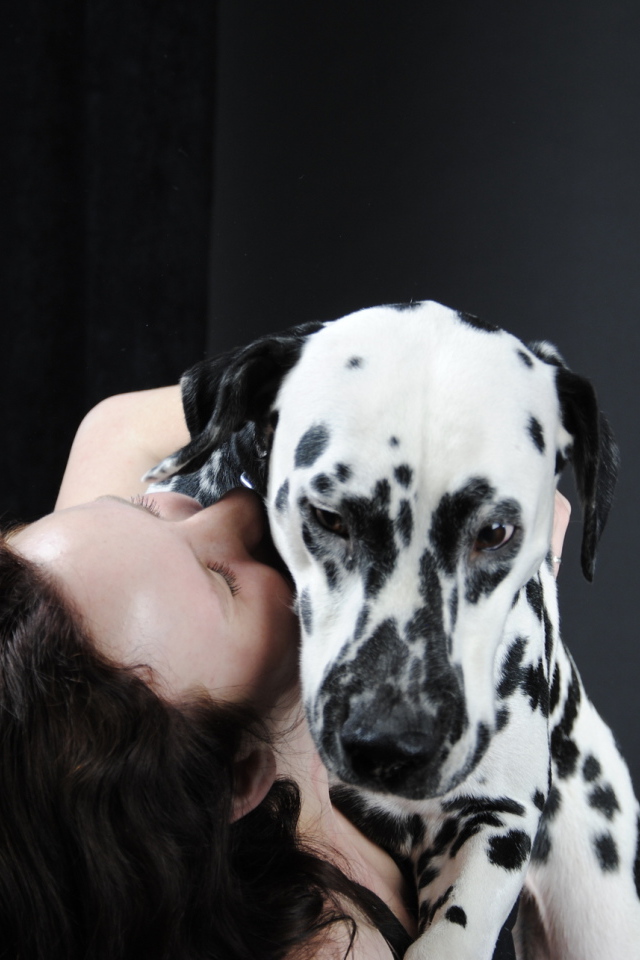 Далматин с его владельцем