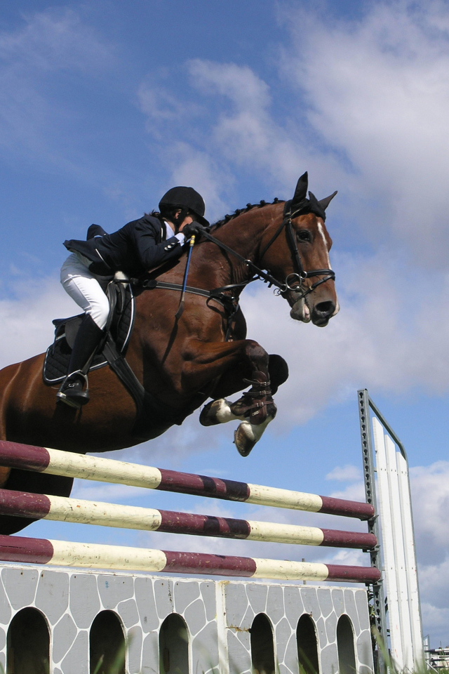 Знаменитые лошади