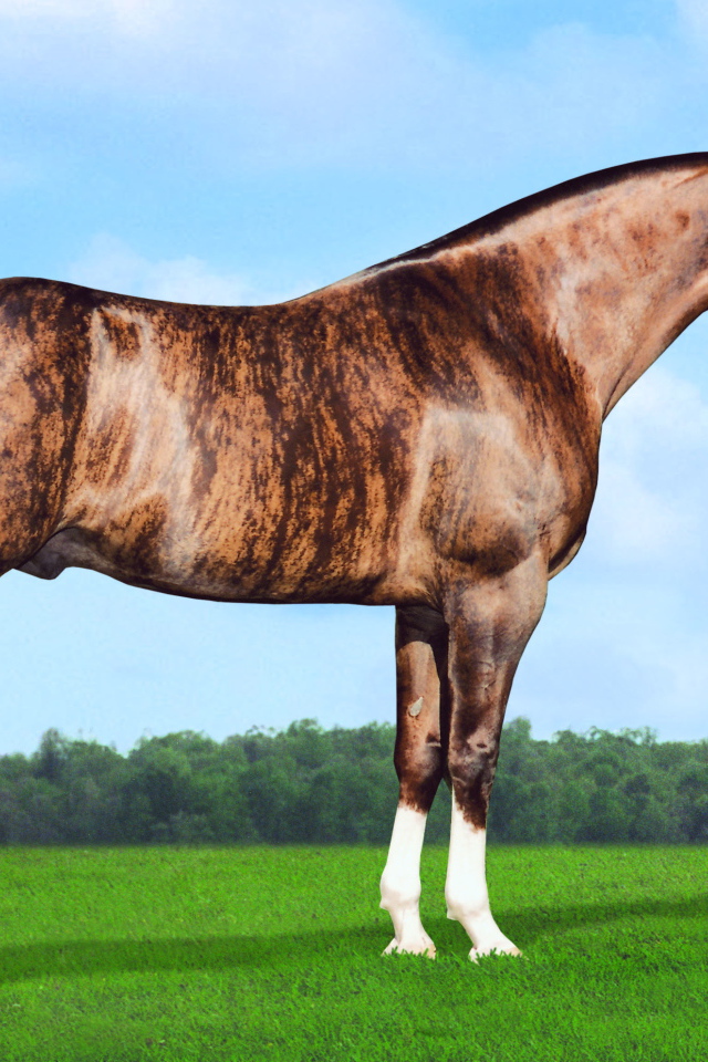 Золотая лошадь