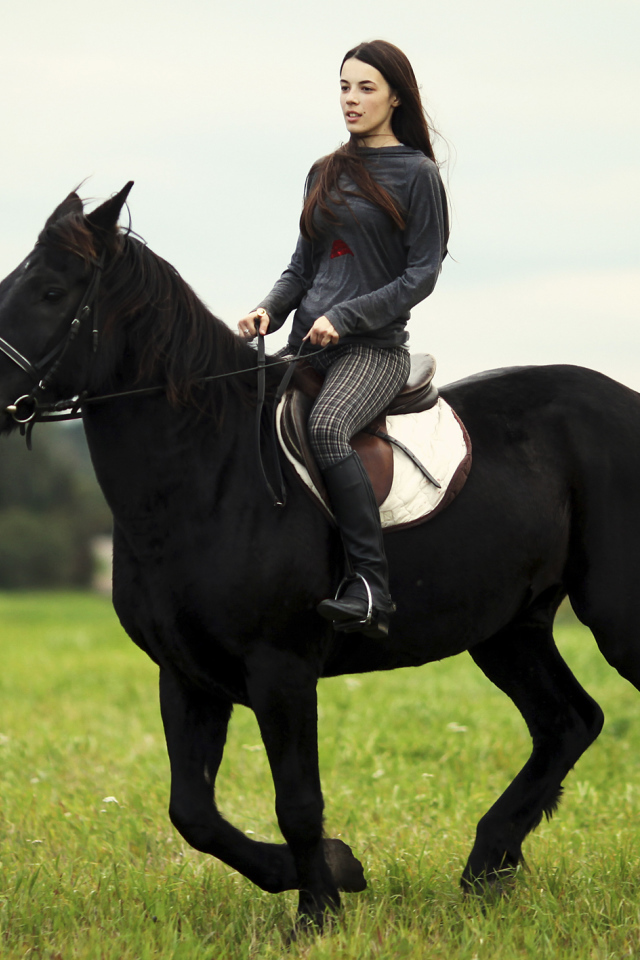 Лошадь со всадником