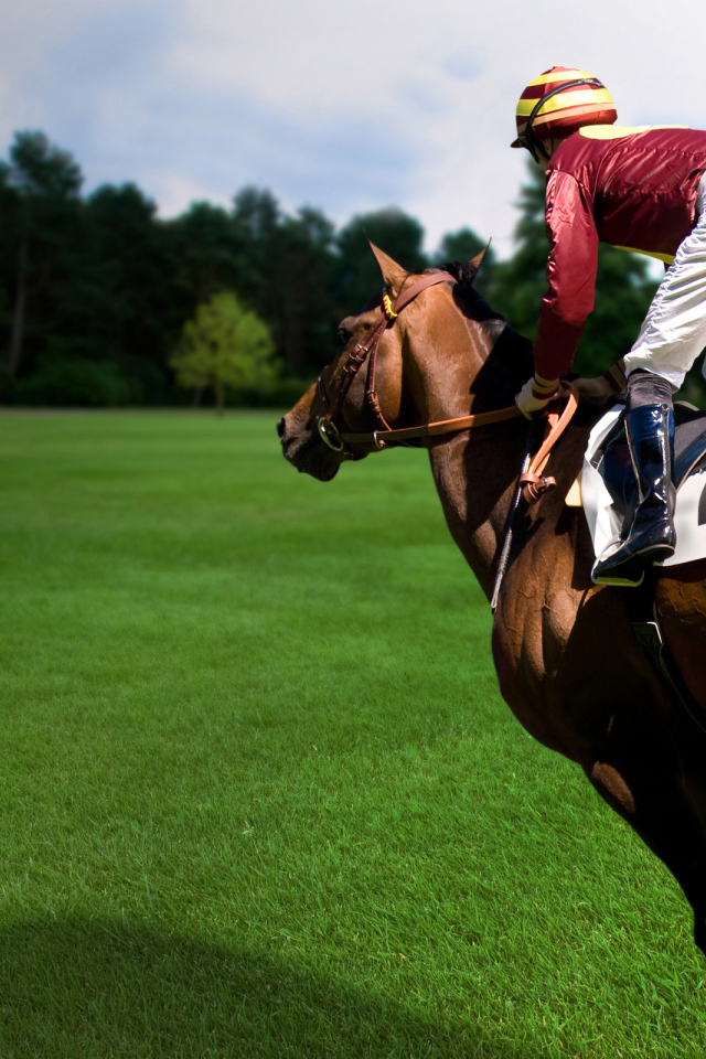 Езда на лошади