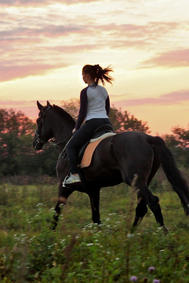 Прогулка на лошадях, закат