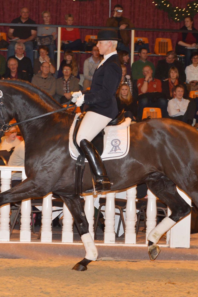 Лошади чемпионы