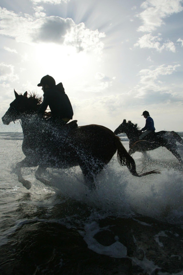 Лошади в воде