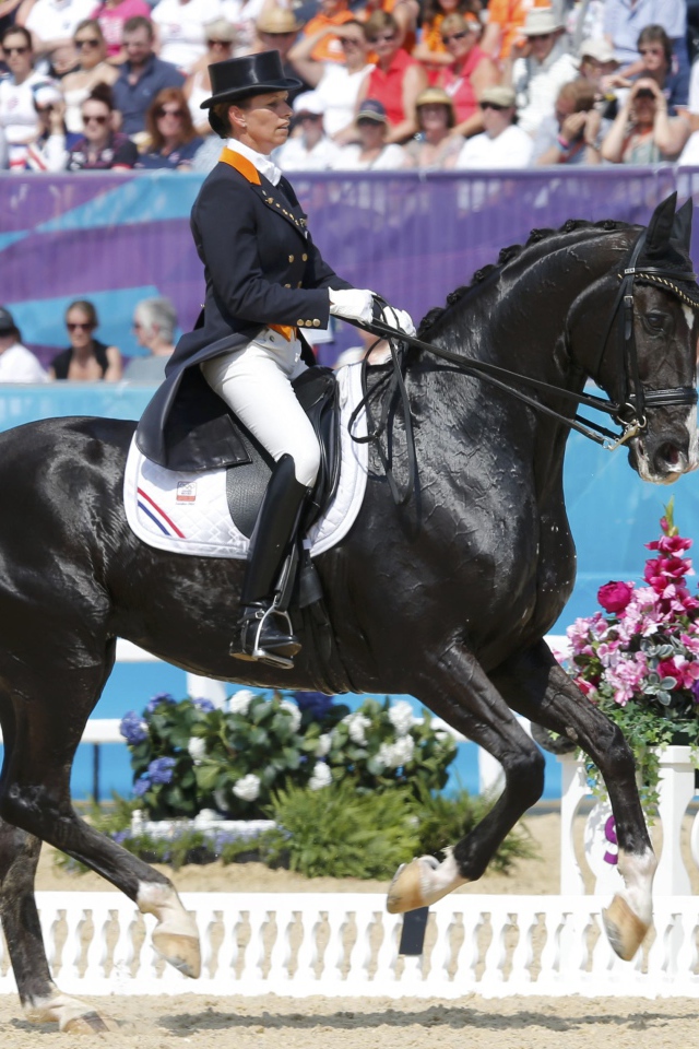 Всадник на лошади