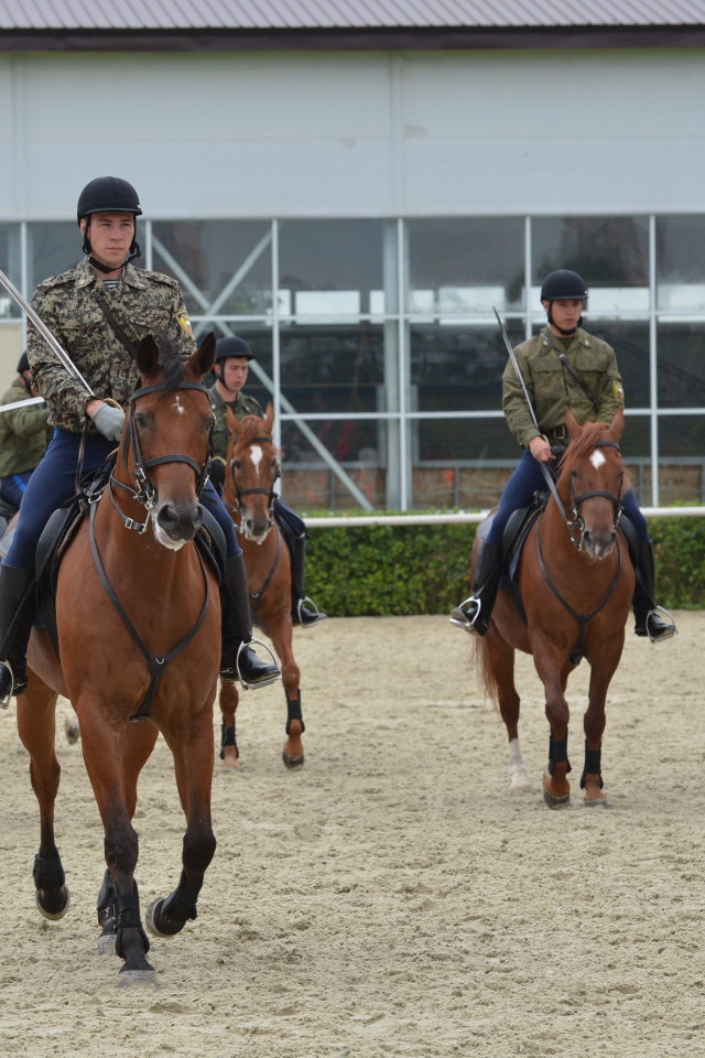 Верховая езда на лошади