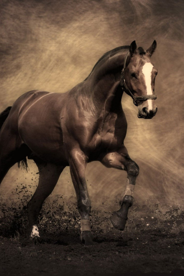 Самые знаменитые лошади