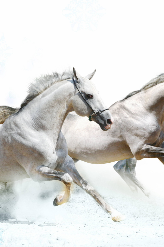 Тройка лошадей