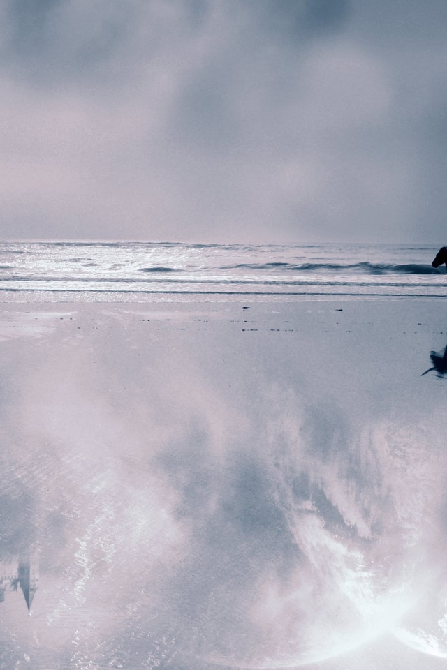 Мир лошадей