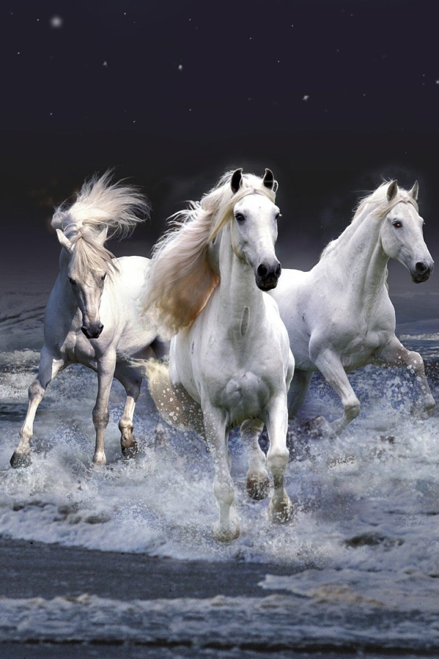 Тройка белых лошадей