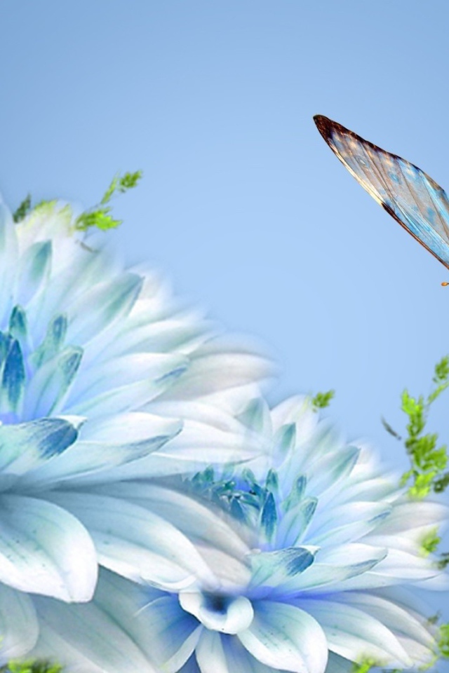 Бабочка над голубым цветком