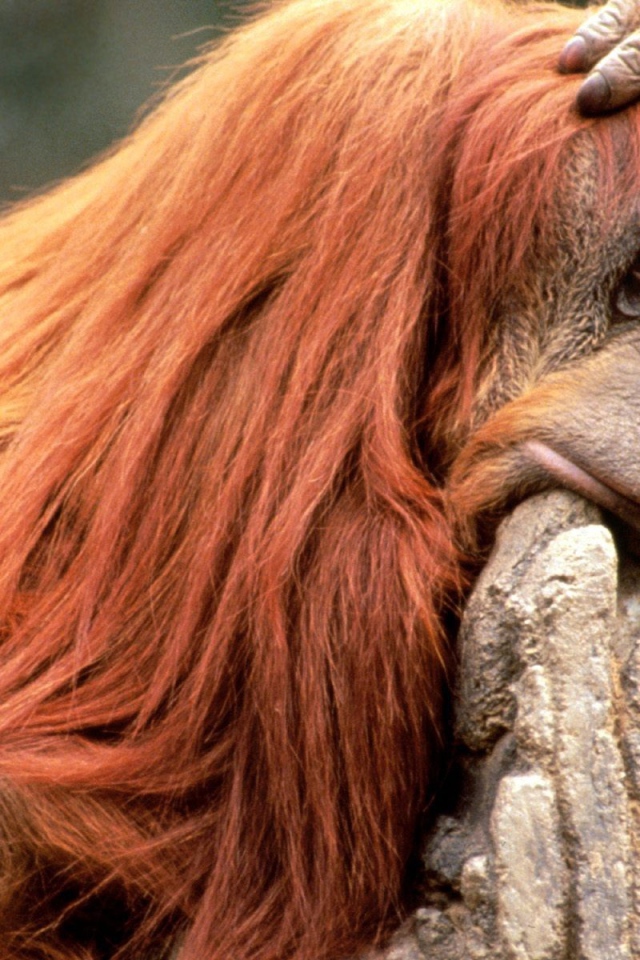 Что то я сегодня плохо выгляжу