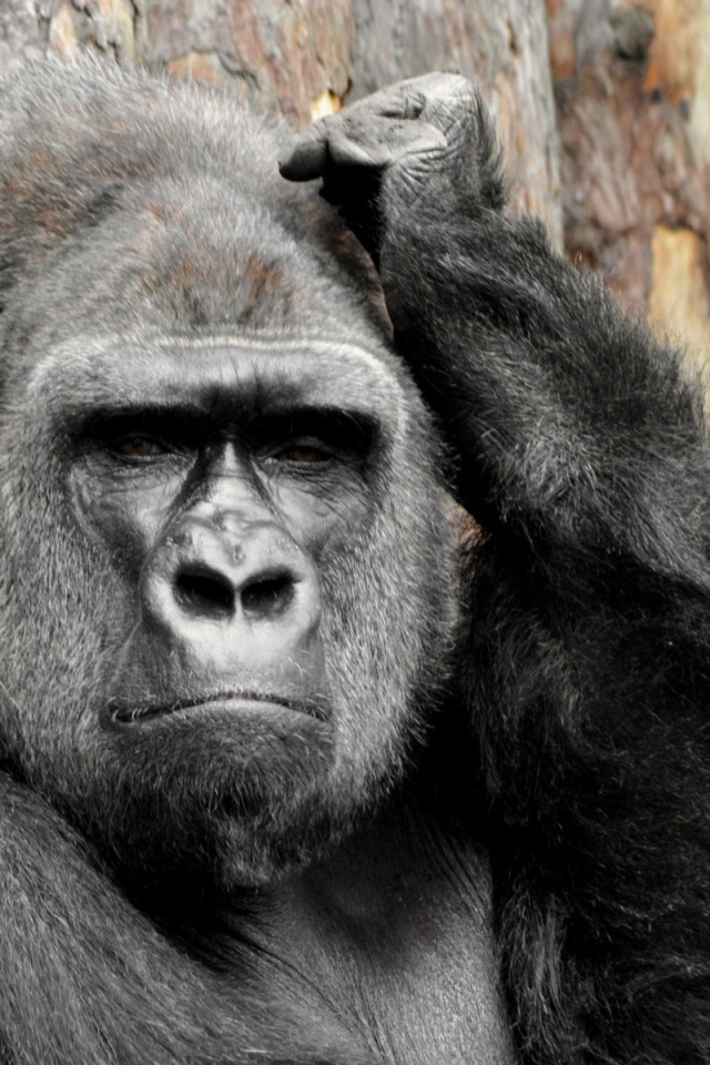 Тут надо подумать