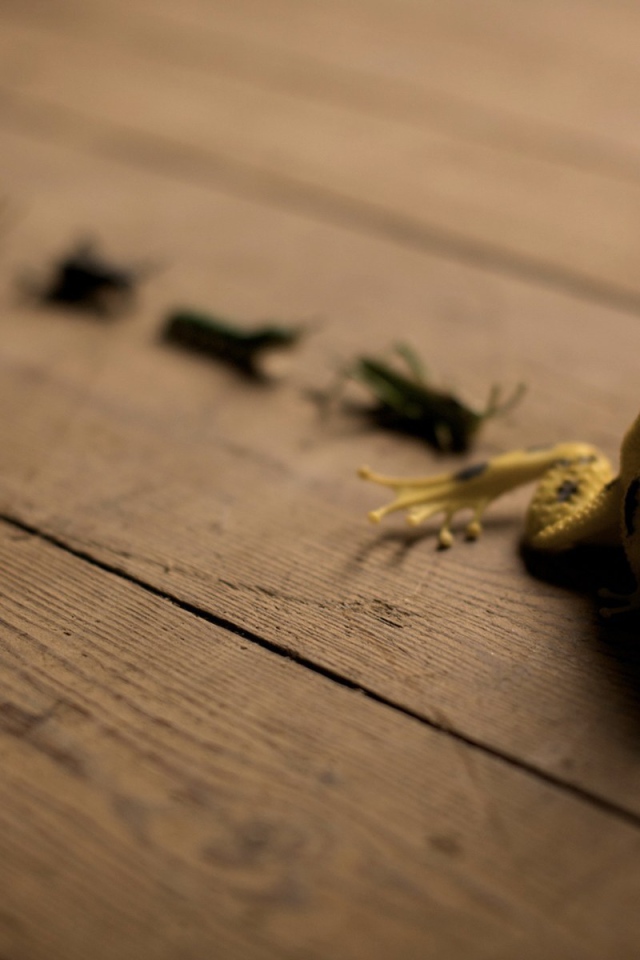 Лягушка и кузнечики