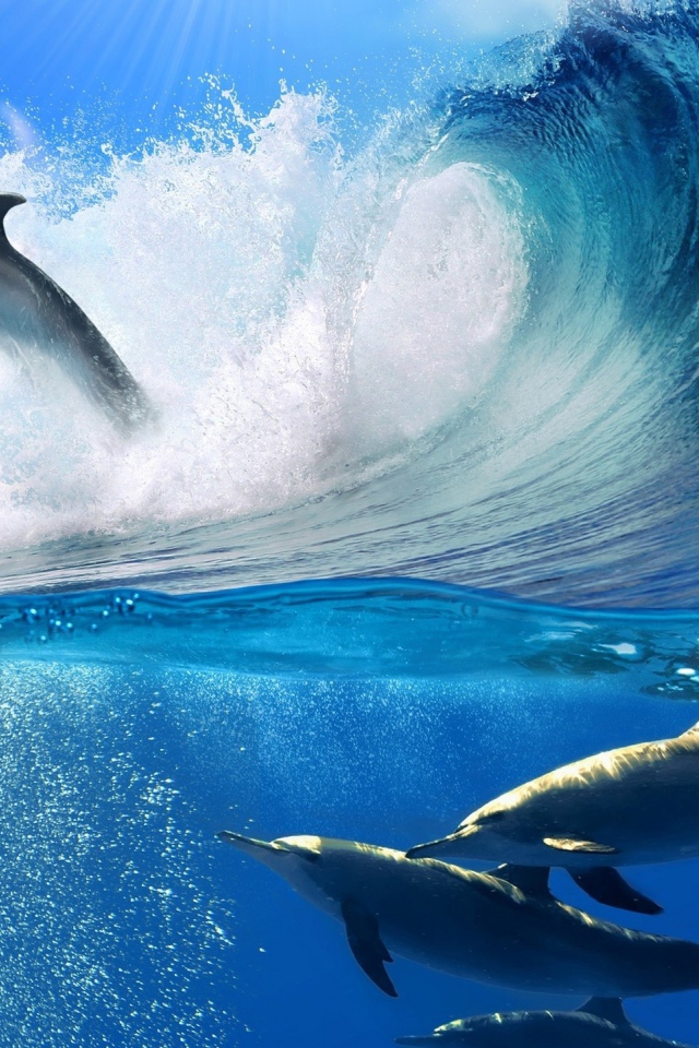 Дельфин в прыжке