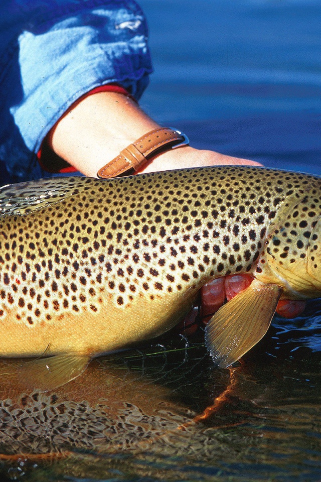 Хороший улов у рыбака