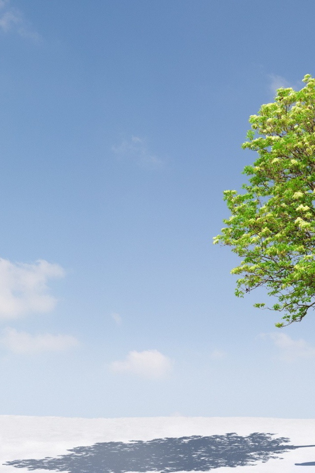 Зеленое дерево чудо для пингвинов