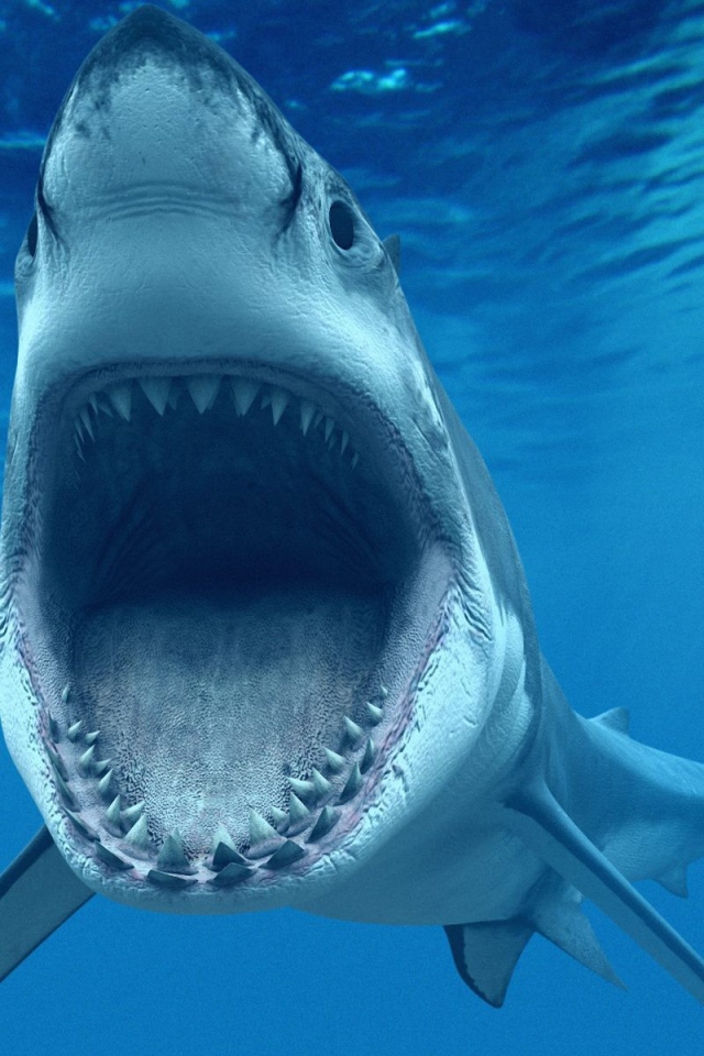 Зубастая Пасть акулы