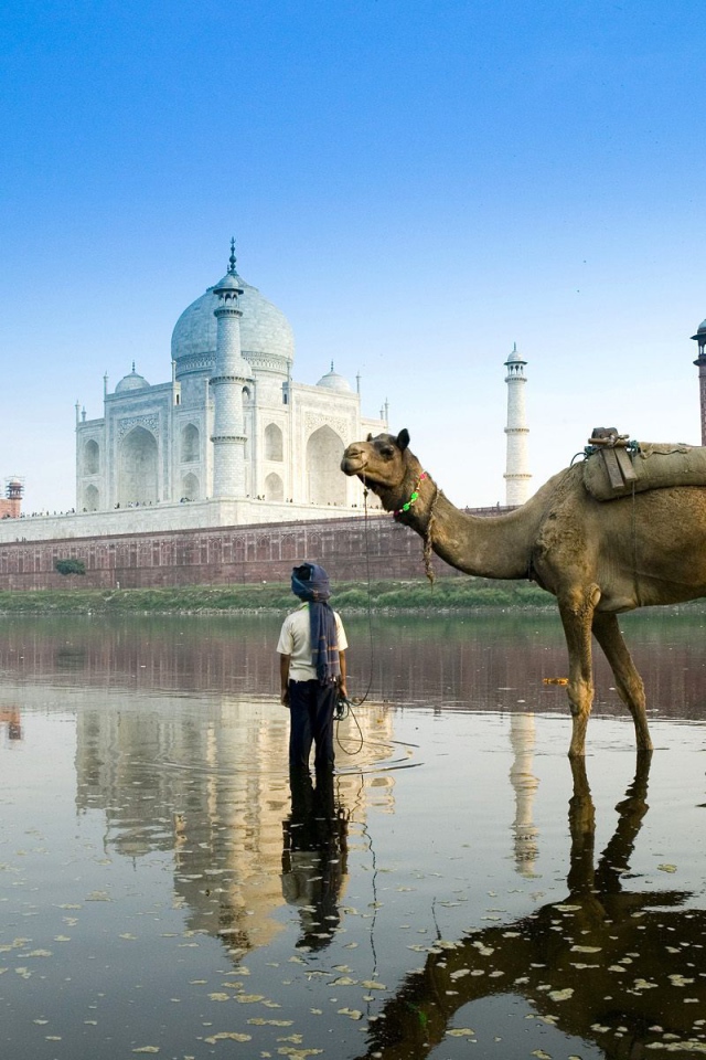 Boy with a camel