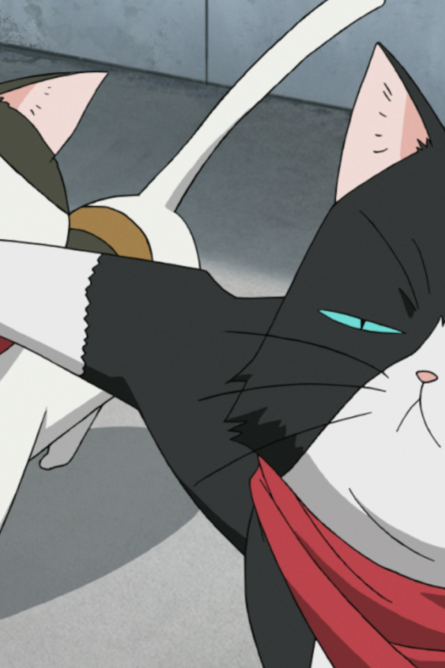 Кошачьи прихоти