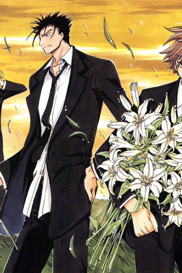 Хроника Крыльев