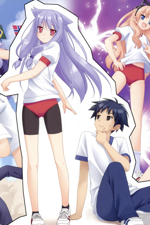 Нашествие бродячих кошек!