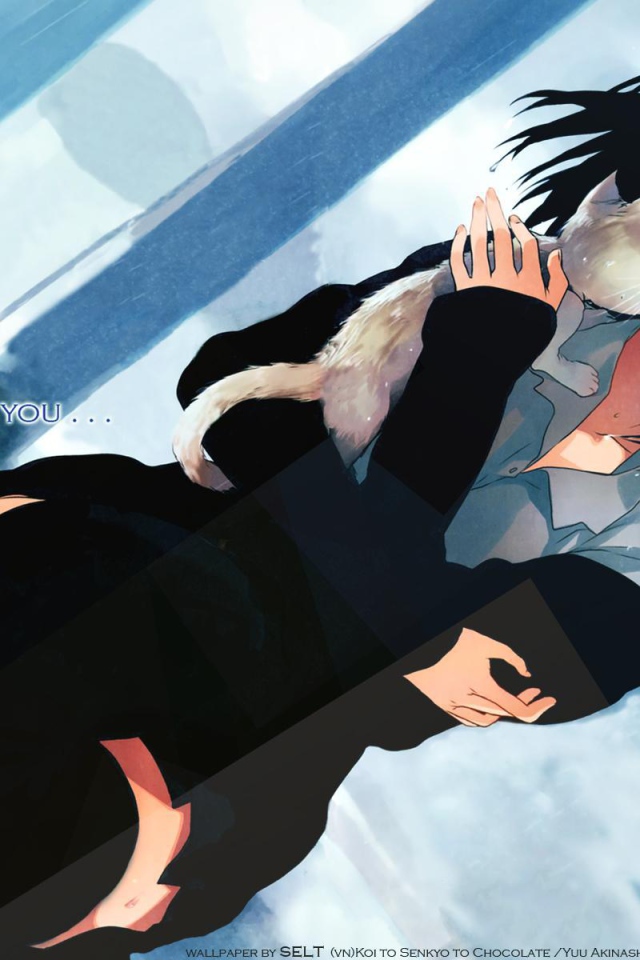 Любовь, выборы и шоколад