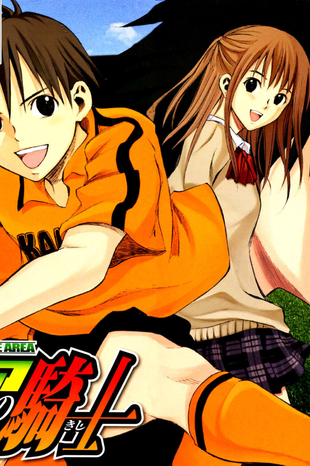 Паладин на поле