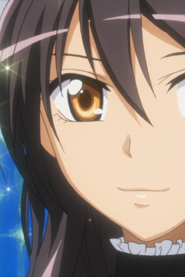 Президент учсовета - горничная!